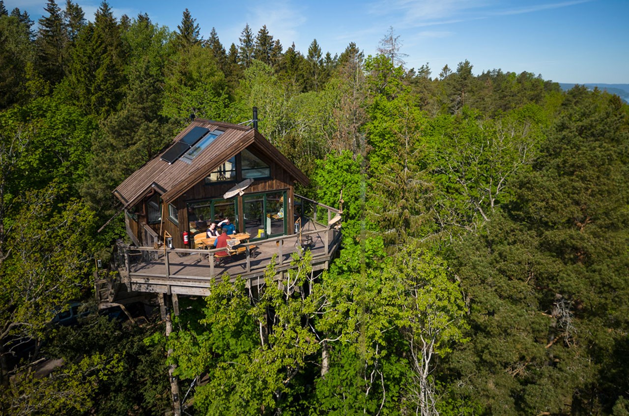Ørneredet sett fra lufta, midt i skogen